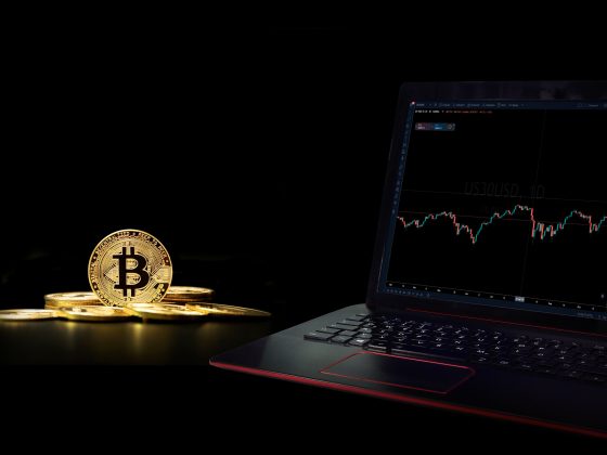 Comment investir en cryptomonnaie à Singapour sans risque ?