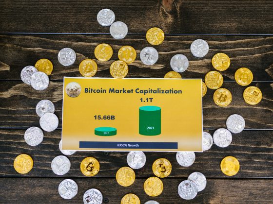 Quel est le meilleur stablecoin pour vos besoins?