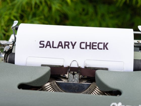 Salaire master vs ingénieur : qui gagne vraiment plus ?