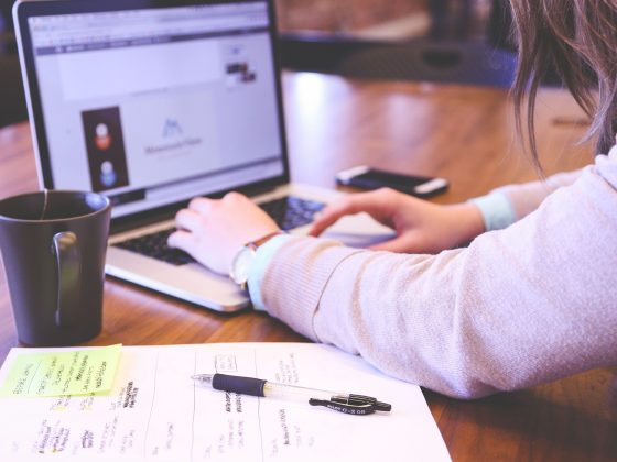 Comment créer une SASU seul, sans expert comptable ?