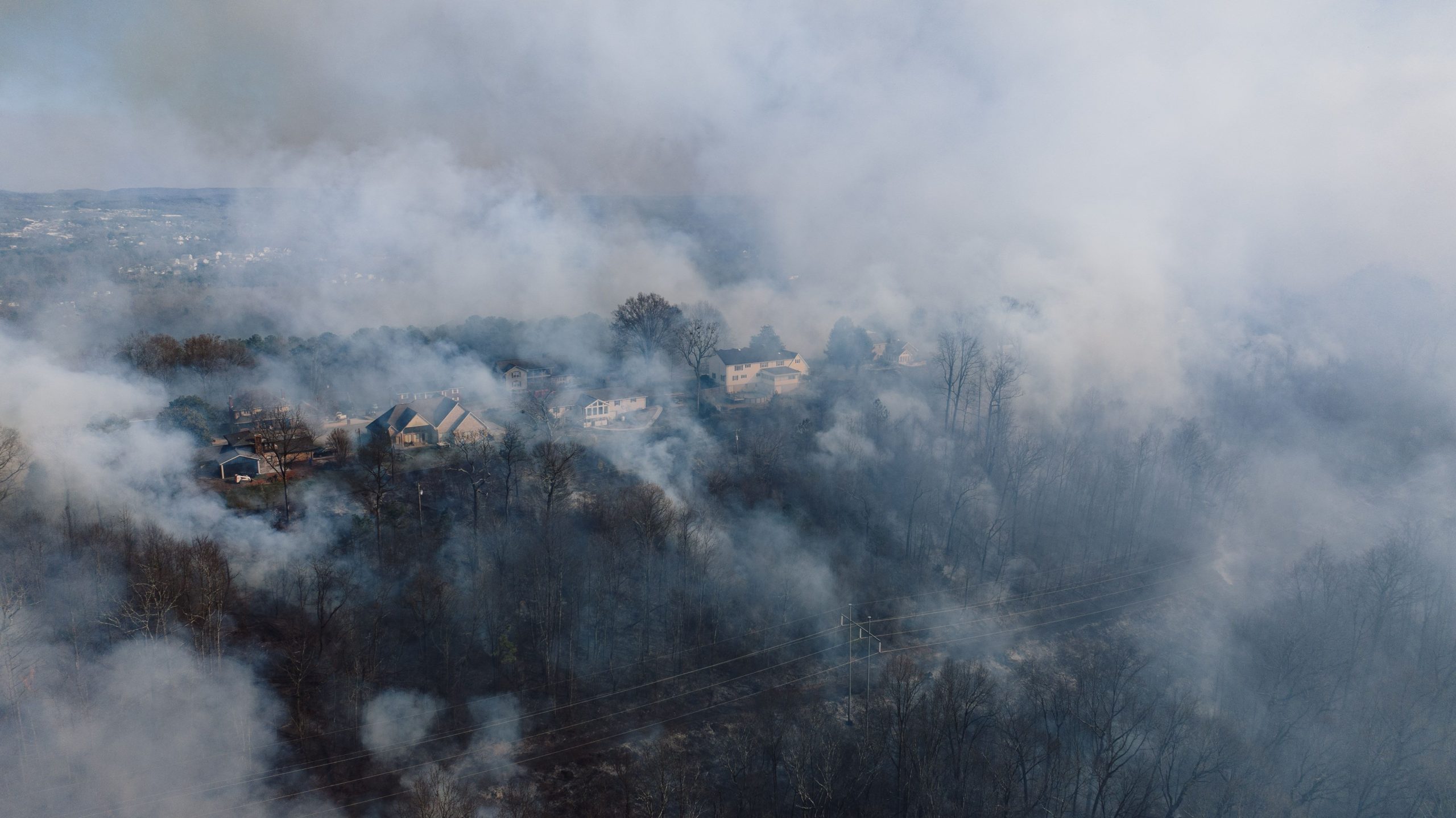 Forêt couverte de fumée avec maisons proches